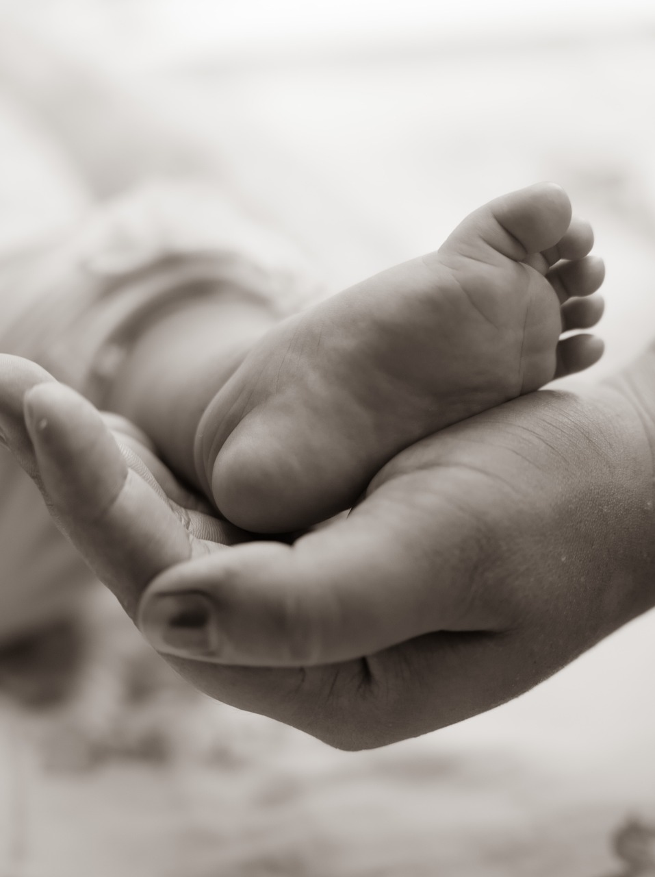 baby, mother, foot-7464731.jpg